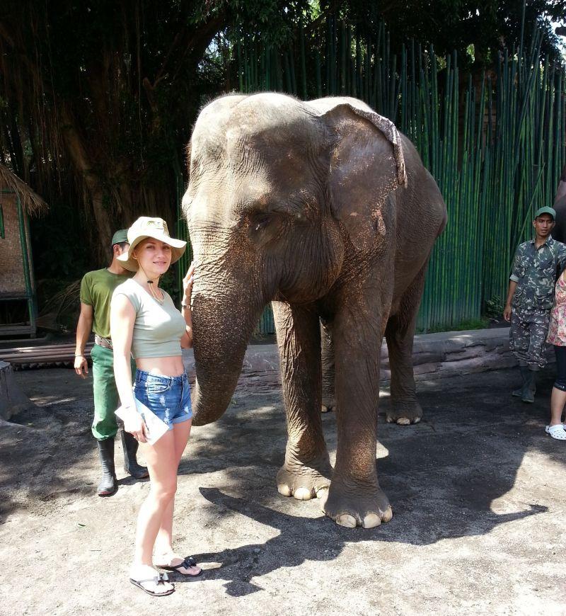 После представления со слонами зрители могут бесплатно фотографироваться с животными